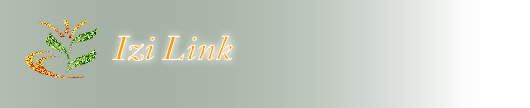 Directory of Web Sites